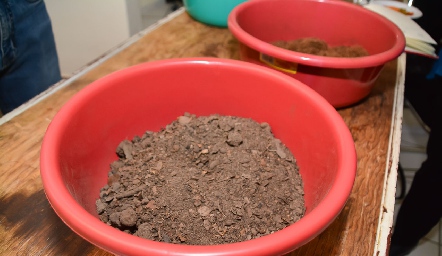 Taller de Jardinería “Una mañana de aprendizaje”.