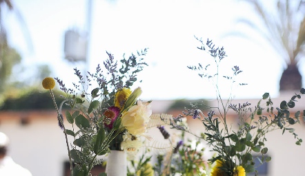  Flores.