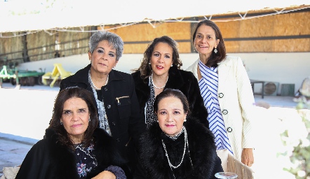  Beatriz Aranda, Lila González, Lourdes Carrillo, Maribel Martínez y Rosa María Maza.