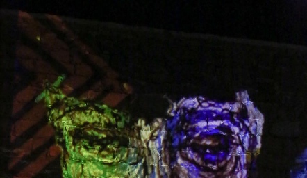  Exposicion 4° aniversario Museo Leonora Carrington.