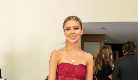 Renata Acevedo Guerra.