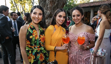  Andrea Alfaro, Sofía Hernández y Paulina Silos.