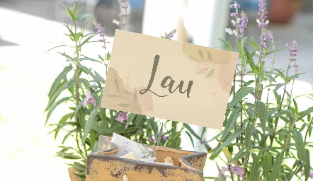  Lau.