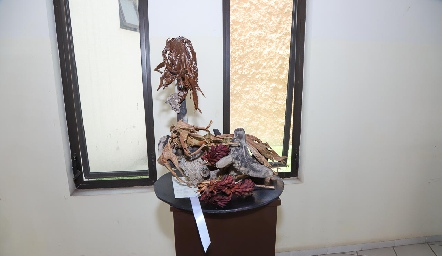  Exposición comienzo de una nueva era.