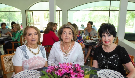  María del Carmen Morales, Lula Hernández y Lucí Stanl.