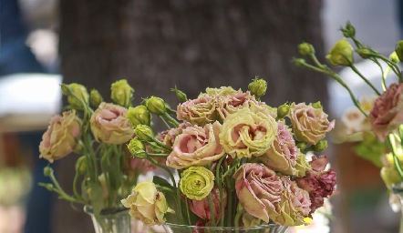 Cumpleaños de Catalina Abud.