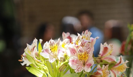 Cumpleaños de Catalina Abud.