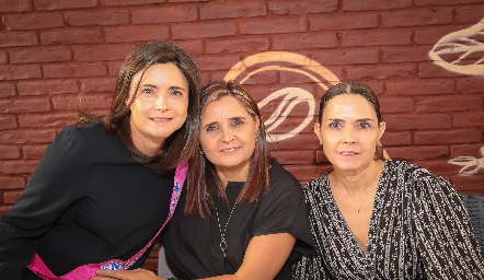  Paola, Elsa y Fernanda Félix.