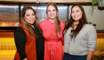  Daniela Ramos, Mariana García y Paulina Ramos.