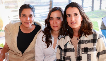  Mariana Nieto, Romina Cuevas y Sandra Villasuso.