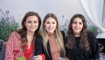  Lorena Madrigal, Alejandra Puente y Ana Victoria Álvarez.