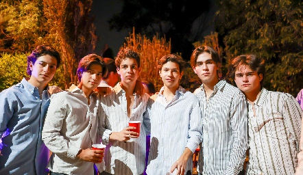  Amigos.