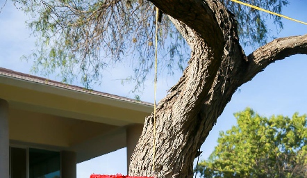  Hora de la piñata.