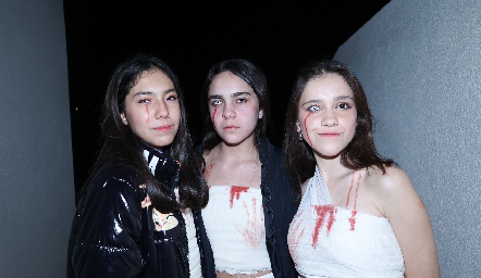  Camila Bustamante, Mónica Baena y Valentina Cabrera.