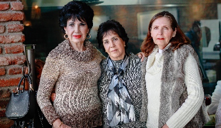  Lucy Stahl, Aída Blanca Martínez y Lilia Ahumada.