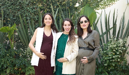  Isabel Villanueva, Marijó Ascanio y Mariana Rodríguez.