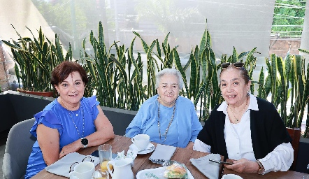  Laura Martínez, Luz María Guerrero y Concepción Fierro.
