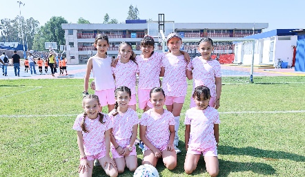  Equipo Femenil de Futbol Vikingas.