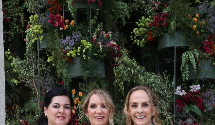 Cynthia Sánchez, Claudia Díaz Infante y Laura del Villar.