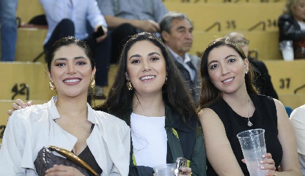  Elizabeth Mejía, Cinthia Delgado y Valeria Solorzano.