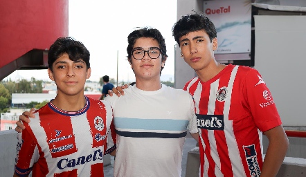  Pato, Diego y Héctor.