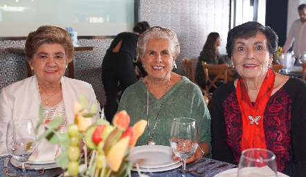  Amparo Espinoza, Lupita Treviño y María del Carmen Stevens.