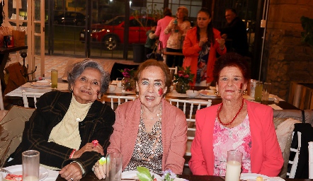  Ruth Leiva de García, Anna Astrid Werge de Navarro y Guadalupe Lozano de Pizzuto.