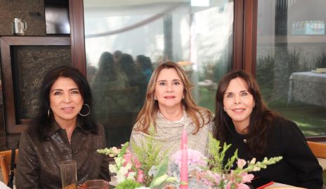  Carolina Aguilar, Elvia de Pérez y Claudia Castro.