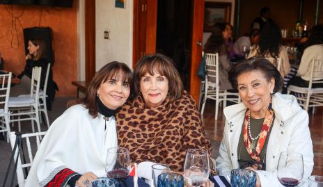  Patricia Orduña de Garza, María del Carmen Mora y Martha Portillo.