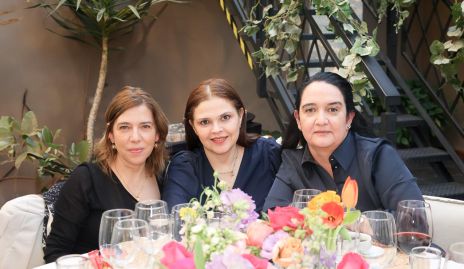  Daniela Calderón, Ceci Ponce y Cecilia Hernández.