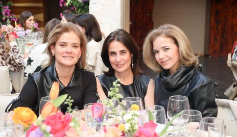  Marcela Benavente, Ana Paula Gutiérrez y Sigrid Werge.