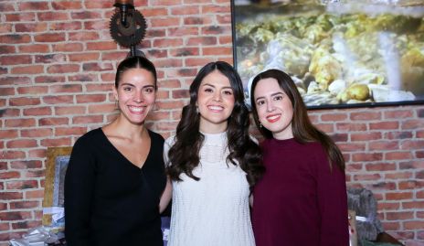  Daniela Guzmán, Andrea Ortiz y Sofía Llamas.