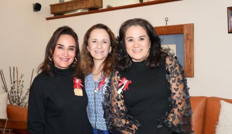  Marcela Rocha, Yolanda Gocher y Rosa María González.