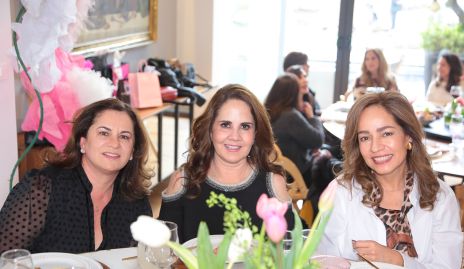  Claudia Ávila, Gabriela Payán y Ana Luisa Acosta.
