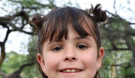  Eugenia.