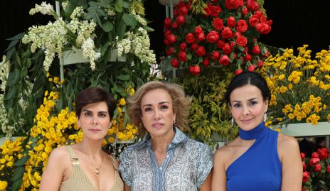  Carla Canseco, Karina Ramos y Adriana Revuelta.