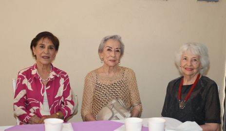  Yolanda Neuman, Martha Alicia y Graciela Alvarez.