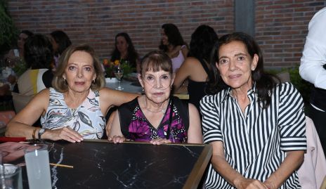  Rosana Benavente, Clara Luz Portales  y Marcela Nava.