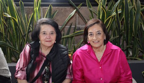  Alicia Gómez y Leticia Cardona.