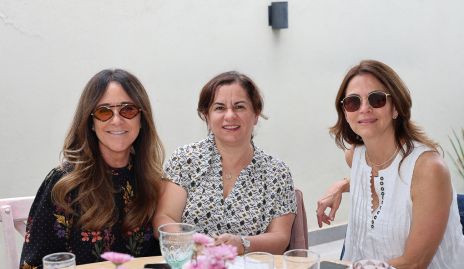  Claudia Toledo, Claudia Ávila y Rocío Nieto.