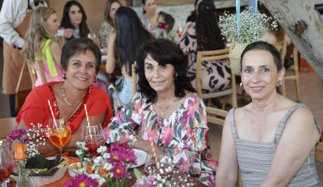  Ana Laura Villarreal, Claudia Sánchez y Carmen Bravo.