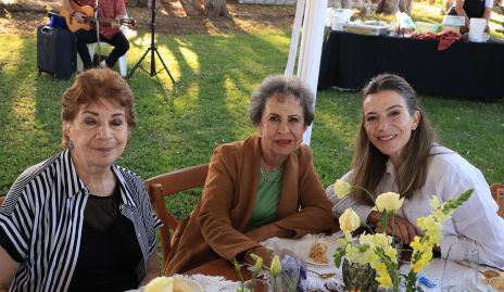  Delia Castro, María Teresa Martín y Alejandra Bermea.