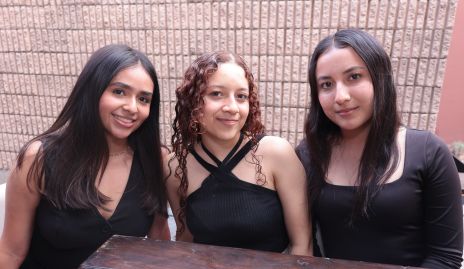  Dayana Trujillo, Valeria Bravo y Vivian García.