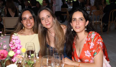  Andrea Rodríguez, Ana Carbajal y Alma Elena.