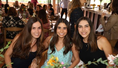  Ana Soto, Rocío de la Vega y Annia Werge.