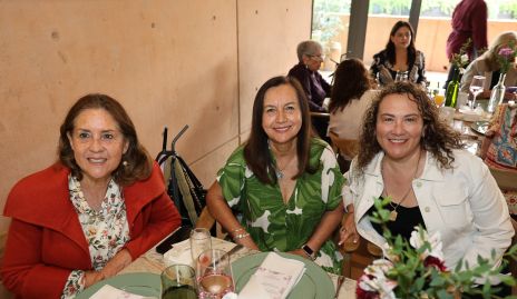  Pina Sánchez, Mariana Sánchez y Laura Vargas.