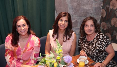 Angélica Jonguitud, Carla Díaz y Marcela Díaz.