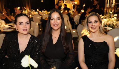  Edith Zumaya, Diana Solorio y Estefanía Sánchez.