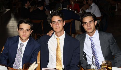  Marcelo Díaz Infante, Paulo Alcalde y Diego Medina.
