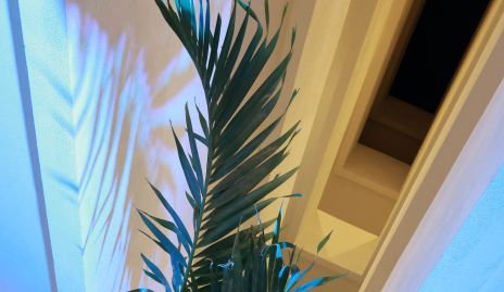  Áreas comunes del edificio.